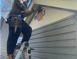 Best Siding Painting and Refinishing  in James Island, SC